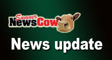 955 a. . Sumner news cow